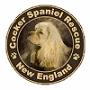 Cocker Spaniel Rescue - New England